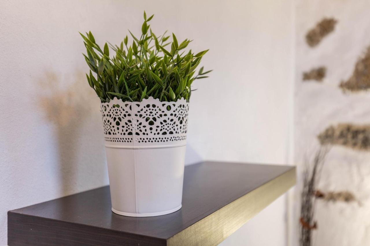 Eden Ecologico En Casa La Fuentita